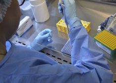 Israel revela cura de 95% dos pacientes de Covid com remédio EXO-CD24