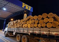 Operação da PRF apreende madeira suficiente para cobrir mais de 130 casas