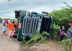 Carreta carregada de bois tomba entre Campo Grande e Vila Nova do Piauí