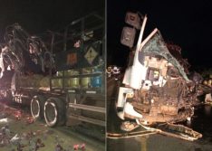 Colisão entre carretas deixa um morto e três feridos na BR 316