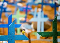 Brasil registra 2.798 mortes por Covid em 24 horas, novo recorde da pandemia; total passa de 282 mil