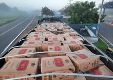 PRF apreende quase 300 mil maços de cigarros contrabandeados em Piracuruca
