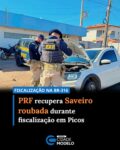 A Polícia Rodoviária Federal (PRF) recuperou, na tarde desta segunda-feira (6), uma picape com registro de roubo durante uma fiscalização na BR-316, no município de Picos, no Centro-Sul do Piauí.

De acordo com a PRF, a equipe realizava rondas pela rodovia quando identificou o veículo estacionado às margens da pista. Durante a abordagem e os procedimentos de identificação veicular, os policiais perceberam características incompatíveis com os padrões originais de fabricação, além de indícios que levantaram suspeitas quanto à autenticidade dos elementos identificadores do veículo.

Após uma vistoria técnica detalhada, os agentes constataram que os sinais identificadores do veículo haviam sido adulterados. A análise permitiu identificar o automóvel original, que possuía registro de roubo no município de Parnamirim (RN), ocorrido em abril de 2025.

Ainda conforme a PRF, durante a fiscalização os ocupantes da caminhonete se apresentaram espontaneamente aos policiais e prestaram esclarecimentos sobre a posse do veículo. Também foram realizadas consultas aos sistemas policiais para subsidiar a ocorrência.

Diante da situação, a caminhonete e os envolvidos foram encaminhados à Delegacia de Polícia Civil de Picos, onde serão adotadas as medidas legais cabíveis. A Polícia Civil dará continuidade às investigações para apurar as circunstâncias da ocorrência.

A Polícia Rodoviária Federal destacou que o combate aos crimes de receptação e adulteração de sinais identificadores de veículos está entre as prioridades da instituição. Segundo a corporação, ações como essa contribuem para a recuperação de veículos roubados, além de fortalecer o enfrentamento às organizações criminosas envolvidas nesse tipo de crime. Fonte: Cidades na net