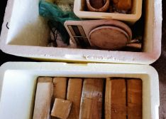 Polícia descobre casas usadas como depósitos de drogas em Teresina