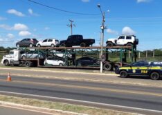 Picos: homem é preso na BR-316 conduzindo cegonha e transportando carro roubado