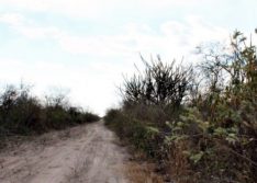 Mulher encontra esposo morto dentro de residência na zona rural de Monsenhor Hipólito