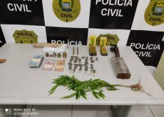 PI: polícia encontra pé de maconha na casa de traficante em Oeiras
