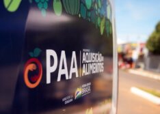 Piauí recebe do Governo Federal 31 veículos para o Programa de Aquisição de Alimentos