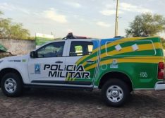 Homem é preso no Piauí após degolar cadela com machado e desfilar na rua com a cabeça