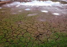 Governo Federal reconhece situação de emergência em 49 cidades no Piauí