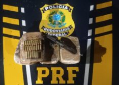 PRF apreende arma, munições e cocaína avaliada em cerca de R$ 900 mil na BR-343