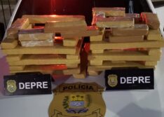 Mulheres são presas suspeitas de transportar 41 tabletes de droga em ônibus interestadual no Piauí