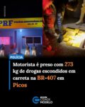 A Polícia Rodoviária Federal (PRF) apreendeu, na noite deste domingo (2), mais de 270 quilos de drogas escondidos em um fundo falso de uma carreta na BR-407, no município de Picos. O motorista, de 35 anos, foi preso em flagrante por tráfico de drogas.

Segundo a PRF, a abordagem ocorreu por volta das 19h, no km 425 da rodovia, durante uma fiscalização de rotina realizada por equipes da Unidade Operacional de Picos.

O veículo transportava cerca de 35 toneladas de granulado reciclado de pneus. A nota fiscal informava que a carga havia saído de Inhumas (GO) com destino ao município de Eusébio (CE).

Durante a fiscalização, os policiais perceberam que o motorista apresentava nervosismo excessivo. A atitude levantou suspeitas e motivou uma vistoria mais detalhada no veículo.

Após o descarregamento da carga de borracha reciclada, os agentes identificaram alterações na estrutura dos semirreboques e localizaram um compartimento oculto entre o piso e o chassi da carreta.

No fundo falso foram encontrados diversos tabletes de drogas, totalizando 273,5 quilos. Do total apreendido, 221,5 quilos eram de substância análoga a skunk e outros 52 quilos de substância análoga ao cloridrato de cocaína.

Além dos entorpecentes, a PRF apreendeu dois aparelhos celulares, dois cartões bancários e a documentação da carga.

Motorista disse que receberia R$ 10 mil pelo transporte
Em depoimento aos policiais, o motorista afirmou que recebeu a carreta já carregada em um posto de combustíveis de Porto Velho (RO) e que aquela era sua primeira viagem com o veículo. Segundo ele, o destino final da carga era o Ceará e receberia R$ 10 mil pelo transporte.

O homem foi preso em flagrante e encaminhado, juntamente com as drogas, os celulares e os documentos apreendidos, à Delegacia da Polícia Federal em Picos, onde o caso será investigado.

A carreta foi apreendida e removida para o pátio da PRF, permanecendo à disposição da Justiça. Fonte: Cidade Verde