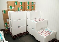 Piauí recebe mais 69 mil doses da AstraZeneca e 32 mil da Pfizer