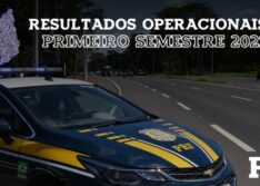 PRF apreendeu no 1º semestre de 2021 o equivalente a quase R$ 14 milhões em drogas nas rodovias