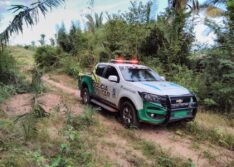 Suspeito de matar irmão com golpes de facão é preso no Piauí