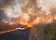 Cresce em 125% focos de incêndio e Piauí bate recorde histórico de queimadas