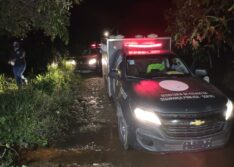 Cachorro enrolado em lençol é confundido com cadáver humano e mobiliza polícias no Piauí