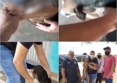 Homem faz vídeo praticando zoofilia em cadela e causa revolta em Picos