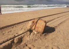 Pesquisa revela que “caixas misteriosas” encontradas no litoral nordestino são fardos de borracha de outro navio nazista