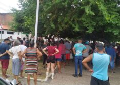 Deficiente visual é atacado por abelhas e morre no Piauí