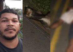 Motociclista morre após colidir contra animal no Norte do Piauí