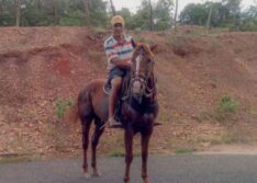 Homem perde controle do carro e morre na rodovia PI-239