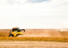 Piauí tem 2° melhor saldo histórico para a Balança Comercial em 2021