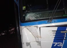 Homem morre atropelado por ônibus ao tentar atravessar a BR-316