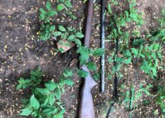 Adolescente de 16 anos morre em acidente com arma de fogo no Sul do Piauí