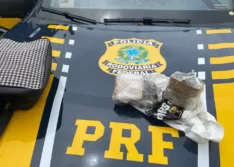 PRF prende pai e filha por tráfico de drogas durante fiscalização na BR-316