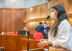 Lei obriga condutor de veículo que atropelar animal a prestar socorro