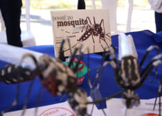 Casos de chikungunya sobem quase 1500% no Piauí e Sesapi reforça alerta