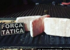 Polícia Militar apreende 3 kg de cocaína na zona rural de Picos