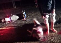 PI: idosa morre após colisão entre motocicleta e animal