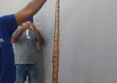 Aroeiras do Itaim: cobra enrola no pescoço de idoso e fere rosto dele com picadas