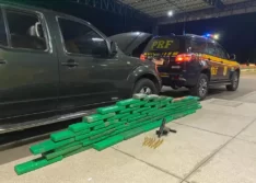 PRF apreende 50 Kg de maconha transportada em carro de família no Piauí