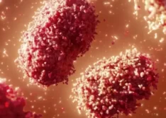 Piauí investiga primeiro caso suspeito de varíola do macaco