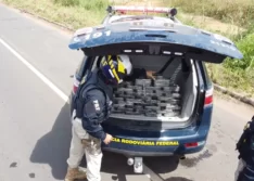 PI: PRF encontra 46 kg de pasta base de cocaína dentro de ônibus