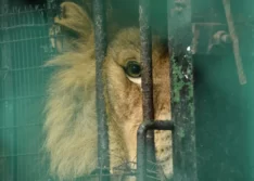 Declarações do IR entregues superam projeções da Receita Federal