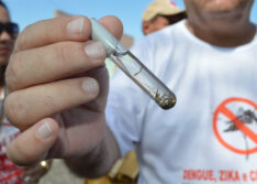 Casos de dengue crescem mais de 700% no Piauí em 2022 e Sesapi reforça alerta