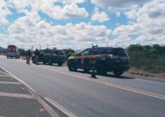 Motociclista morre após colidir em vaca na BR-316