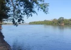 Pescadores encontram corpo de menino de 8 anos que caiu no Rio Parnaíba; quatro desaparecidos
