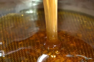 Piauí bate recorde na produção de mel com 6,8 mil toneladas; Picos fica em segundo lugar