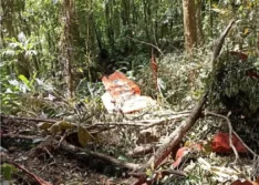 Avião da FAB que desapareceu é encontrado em SC; dois ocupantes morreram