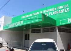 PI: mulher é presa suspeita de tentar matar padrasto a facadas 