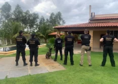 PF deflagra operação no Piauí e prende 4 pessoas por tráfico interestadual de drogas