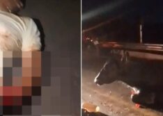 Homem fica em estado grave após colidir motocicleta contra vaca na BR-222