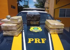Picos: casal é preso no PI com 50 kg de maconha em ônibus com destino a Fortaleza