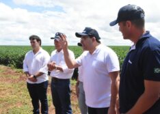 Piauí deve ter nova safra recorde de grãos em 2023